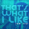 That's What I Like (Acoustic)