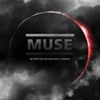 Neutron Star Collision 