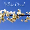 White Cloud (Piano Remix)