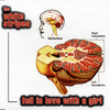 Fell In Love With A Girl