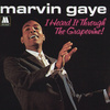 I Heard It Through The Grapevine / In The Groove