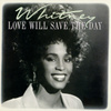 Dance Vault Mixes - Love Will Save The Day