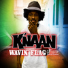 Wavin'  Flag