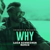 Why (Luca Schreiner Remix)