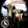 Tribute To Aerosmith:  Not The Same Old Song And Dance