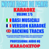 Notre Dame De Paris Karaoke, Vol. 2/5