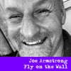 Fly on the Wall