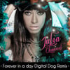 Forever In A Day (digital Dog Remix)