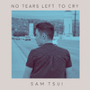 No Tears Left To Cry