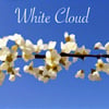 White Cloud