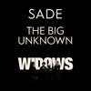 The Big Unknown