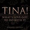 What's Love Got To Do With It (karaoke Version)