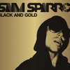 Black & Gold