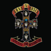 Appetite For Destruction