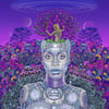 New Amerykah Part Two: Return Of The Ankh + Livret Digital