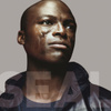 Seal Iv