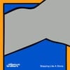 Skipping Like A Stone (feat. Beck)