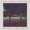 drivers license (Acoustic)