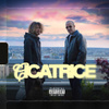 Cicatrice