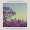 Go Your Own Way (Acoustic)