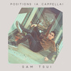 positions (Acapella)