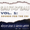 Saut-d’Eau Vol. 1: Sounds for The Chi