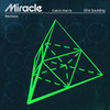 Miracle (with Ellie Goulding) [Remixes]