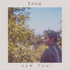 exile (Acoustic)