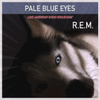 Pale Blue Eyes - Live American Radio Broadcast