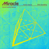 Miracle (with Ellie Goulding) [David Guetta Remix]