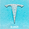 TESLA (feat. DaChoyce)