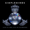 Don’t You (Forget About Me) [Live in the City of Diamonds]
