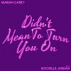 Didn't Mean To Turn You On (with Rochelle Jordan)