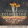 Disco Sun (Fantastic Fungi: Reimagine)