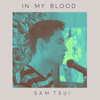 In My Blood (Acoustic)
