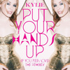 Put Your Hands Up (if You Feel Love) (the Remixes)