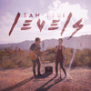 Levels (Originally Performed By Nick Jonas)