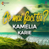 Ce Mai Faci Tu (feat. Karie)