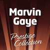 Marvin Gaye