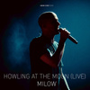 Howling at the Moon (Live in Vienna)