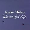 Wonderful Life