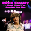 I Think I Love You - Greatet Hits Live