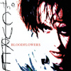 Bloodflowers