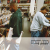 Endtroducing