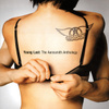Young Lust: The Aerosmith Anthology