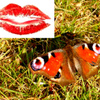 Butterflying I