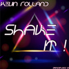 Shake It ! - Single