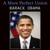 A More Perfect Union