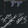 The Master 1961-1984